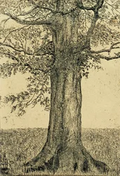 Arbre